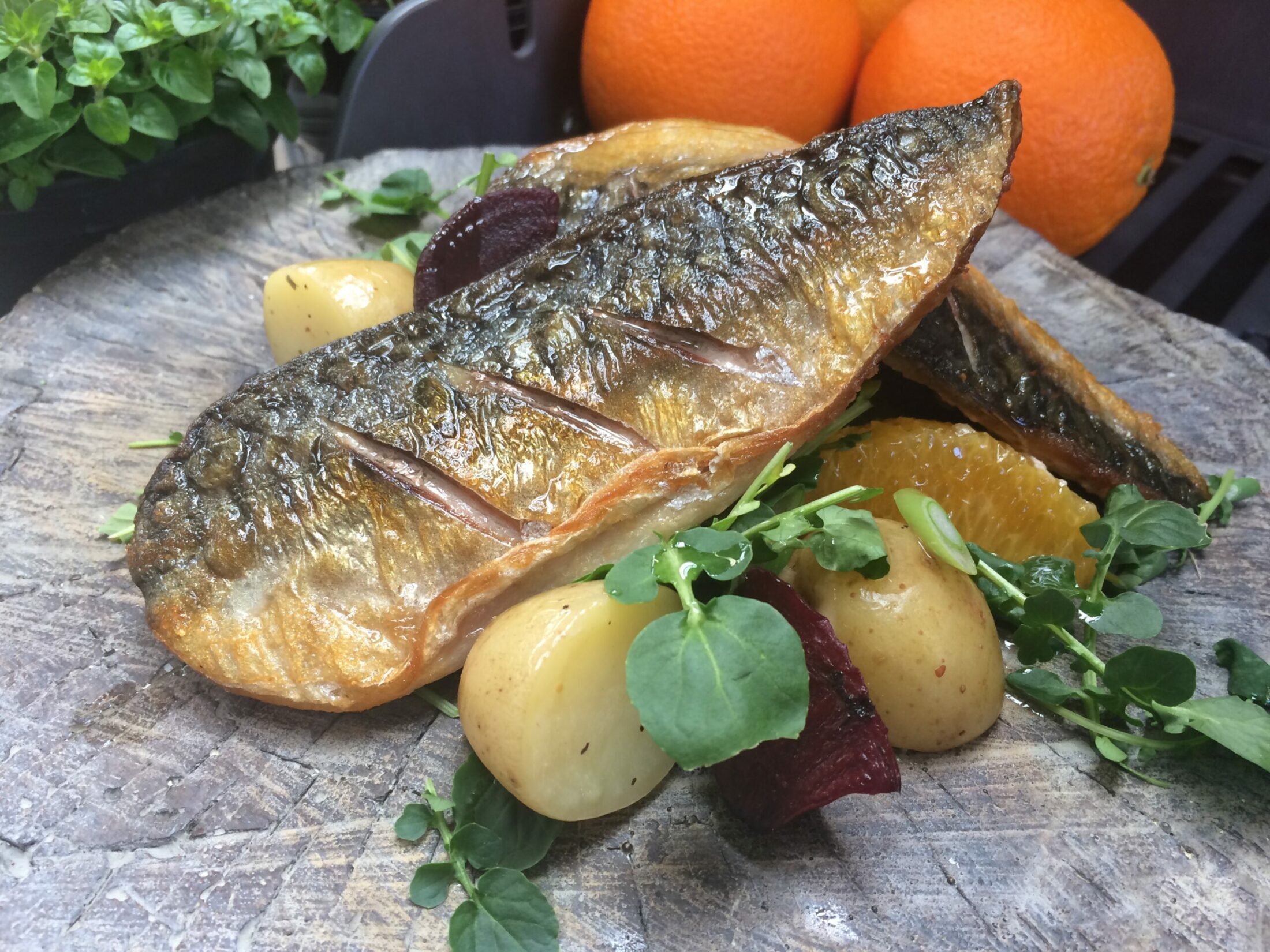 Mackerel with Potato, Beetroot & Orange Salad Recipe Hillier Garden