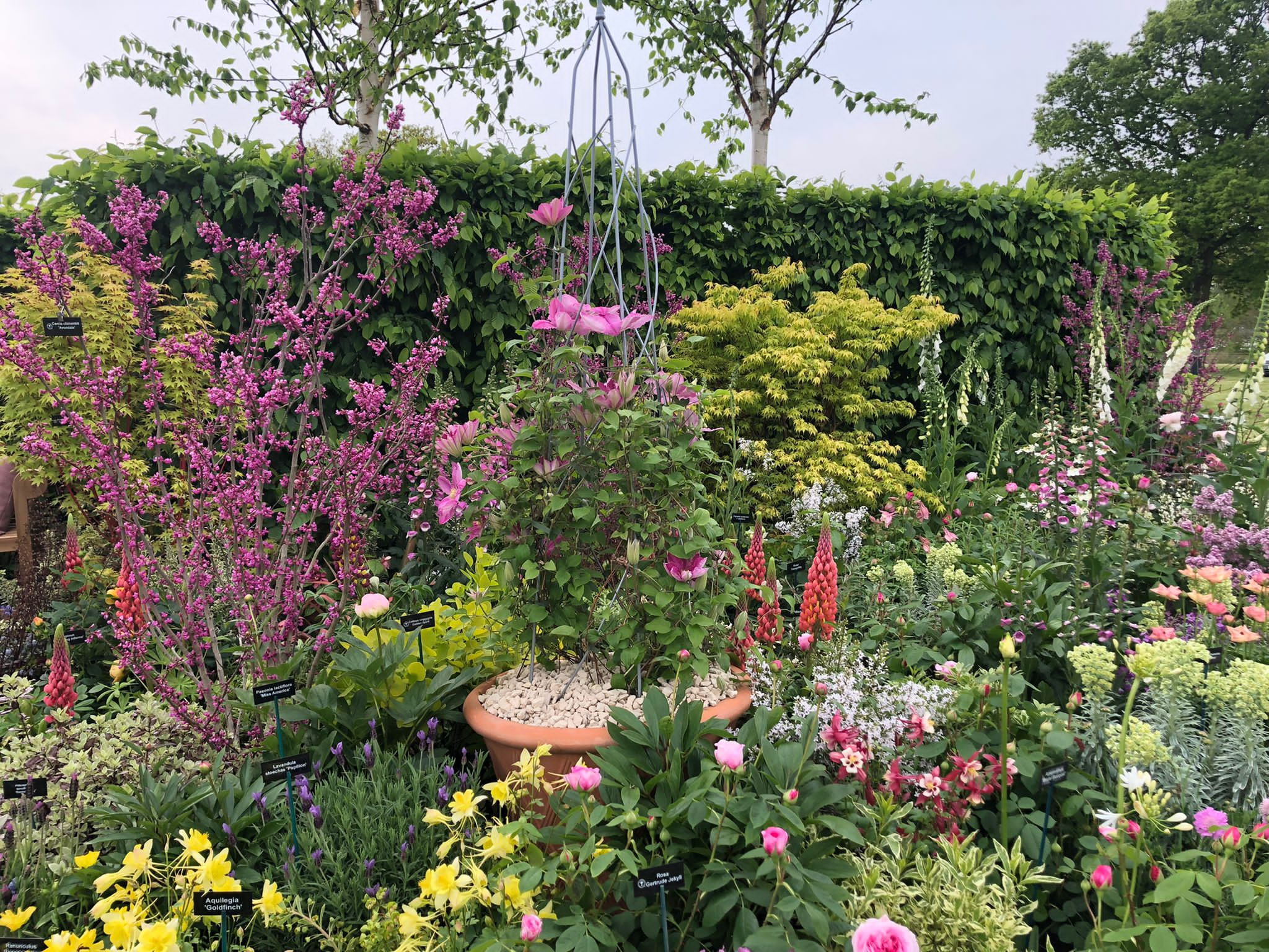 An arrangement of different plants in a show garden at Gardeners' World Spring Fair