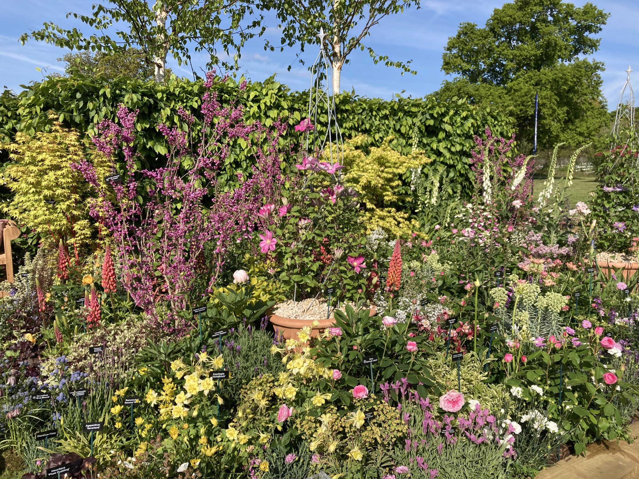 Your Herbaceous Border Through The Seasons - Hillier