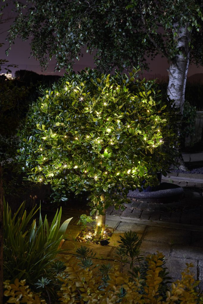 outdoor lights in tree