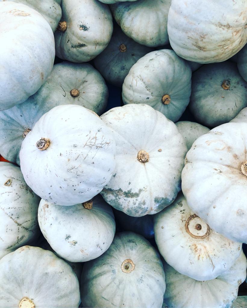 white pumpkins