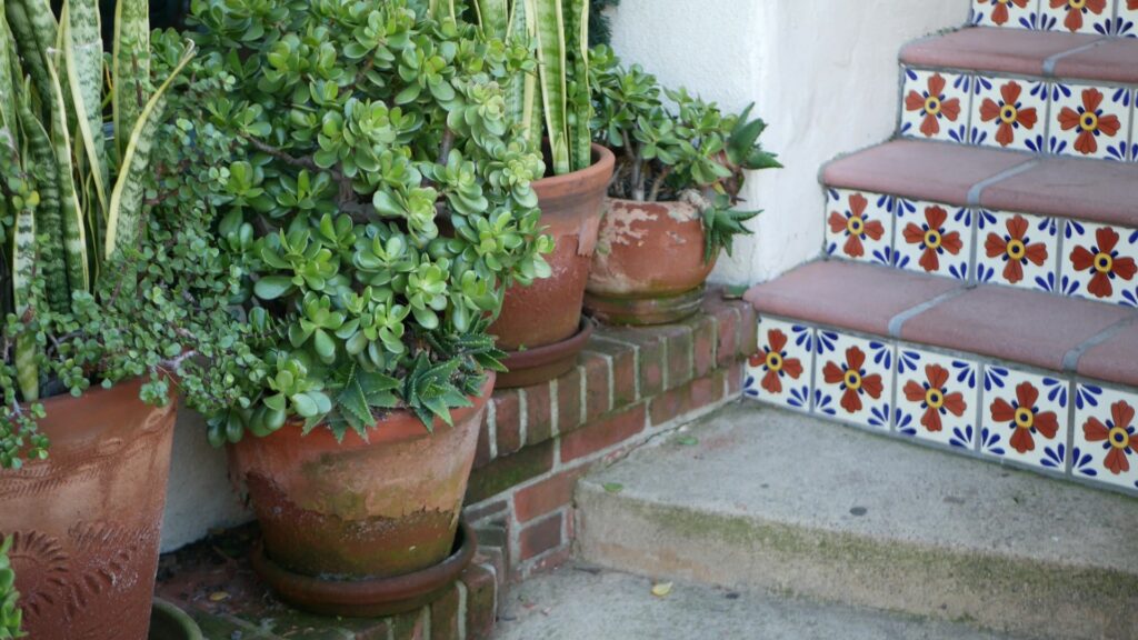mediterranean inspired steps next to potted succulents