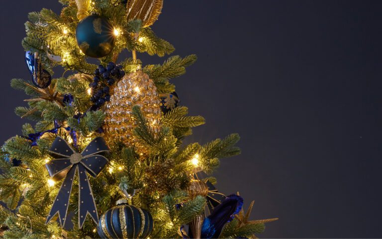Check out our Christmas Events