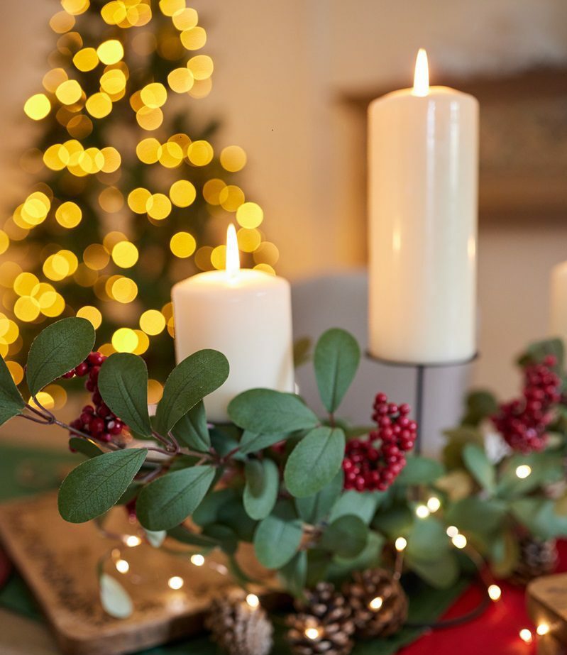 A Cosy Christmas Hillier Garden Centres