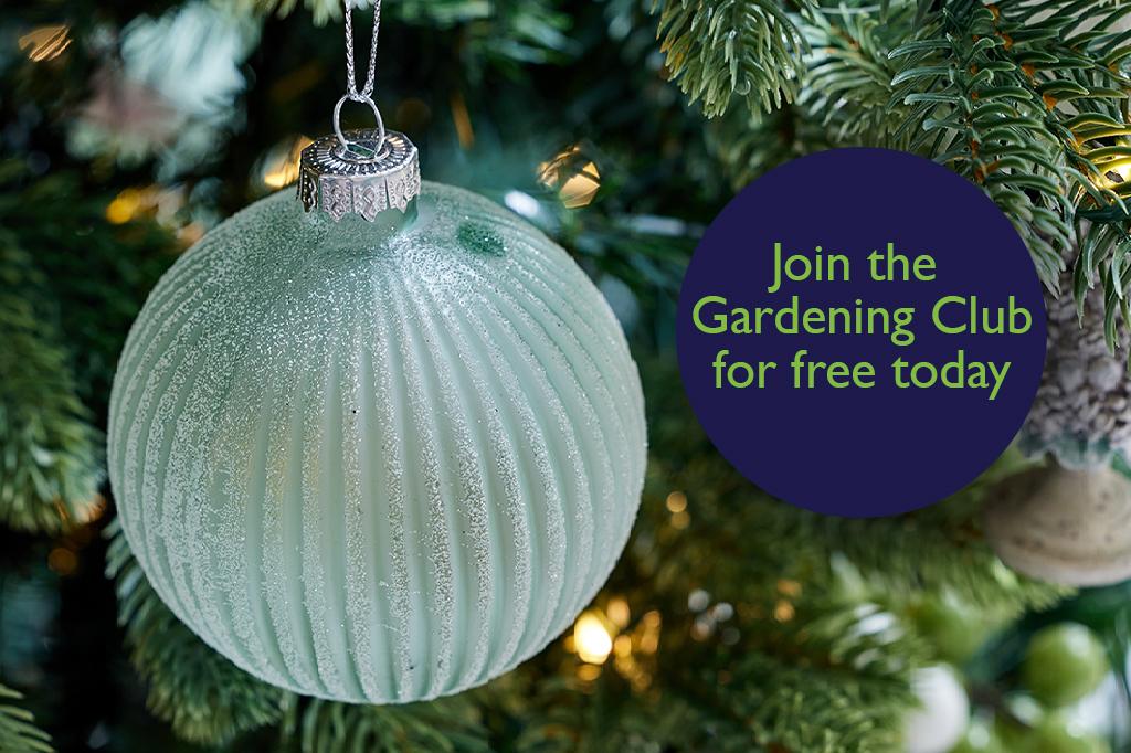 25 Off Christmas Decorations Hillier