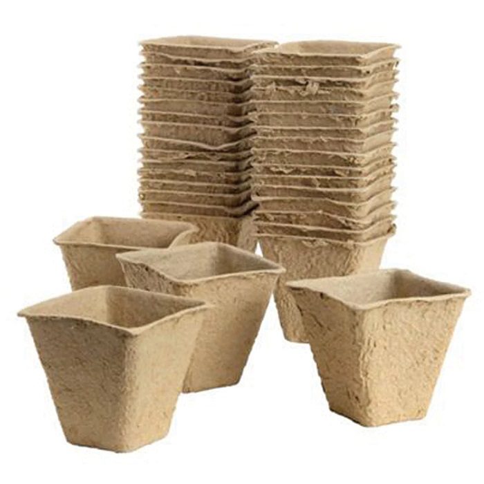 Gro-Sure 6cm Square Fibre Pots Pack of 20 5023377015656