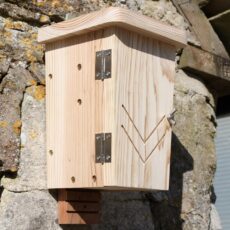 Wildlife World Bat Box