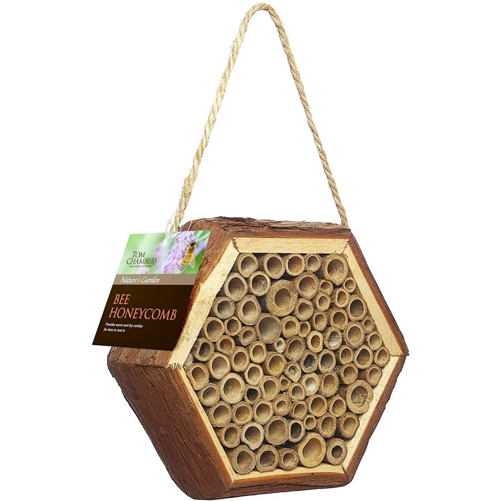Bee Honeycomb Bee Habitat