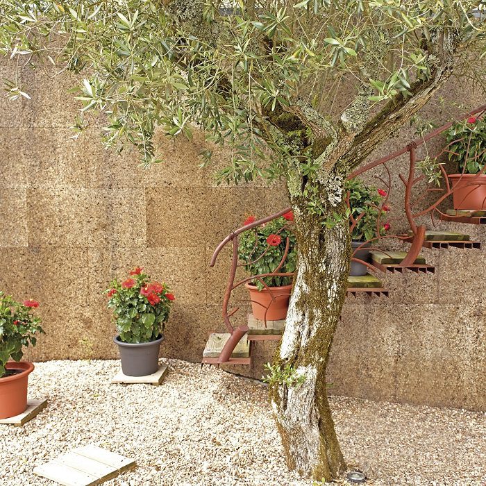 Venezia Cilindro Pot Terracotta 5600442801309