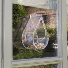 Dewdrop Window Bird Feeder