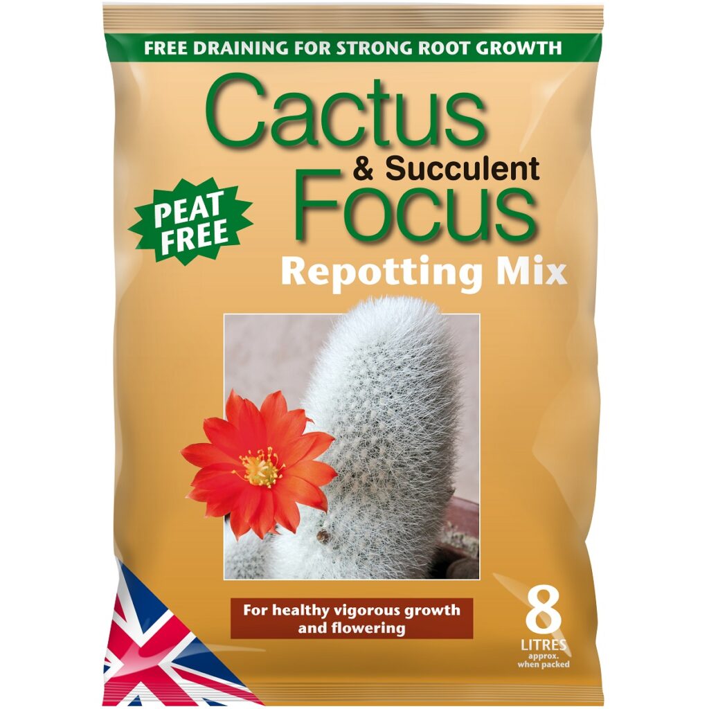 Focus Peat Free Cactus & Succulent Repotting Compost Mix