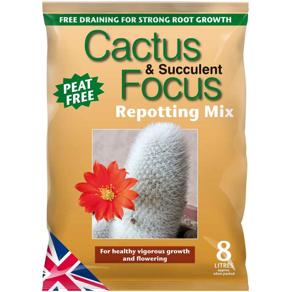 Focus Peat Free Cactus & Succulent Repotting Compost Mix 5025644915638