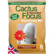 Focus Peat Free Cactus & Succulent Repotting Compost Mix