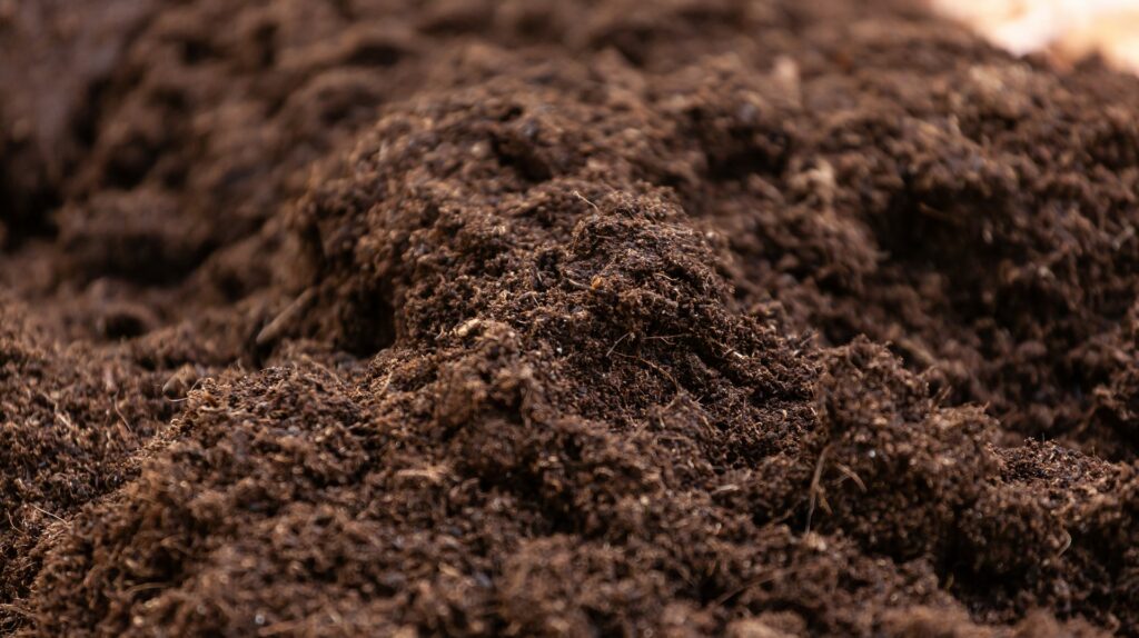 close up of compost with shallow depth of field