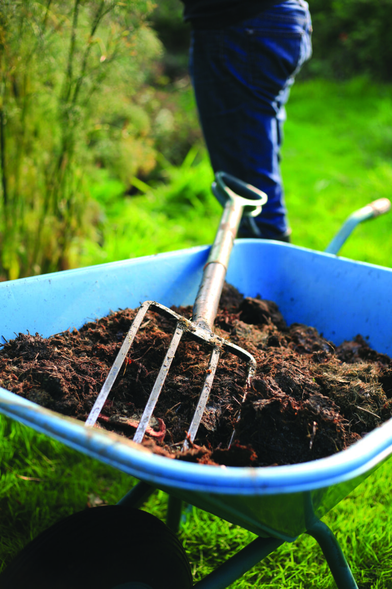 Why Choose Peat Free Gardening