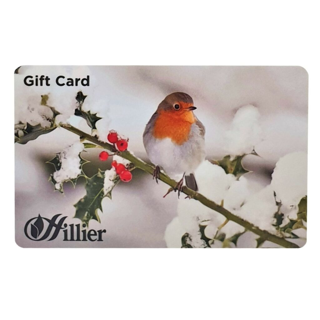 Hillier Gift Card – Robin 00251128