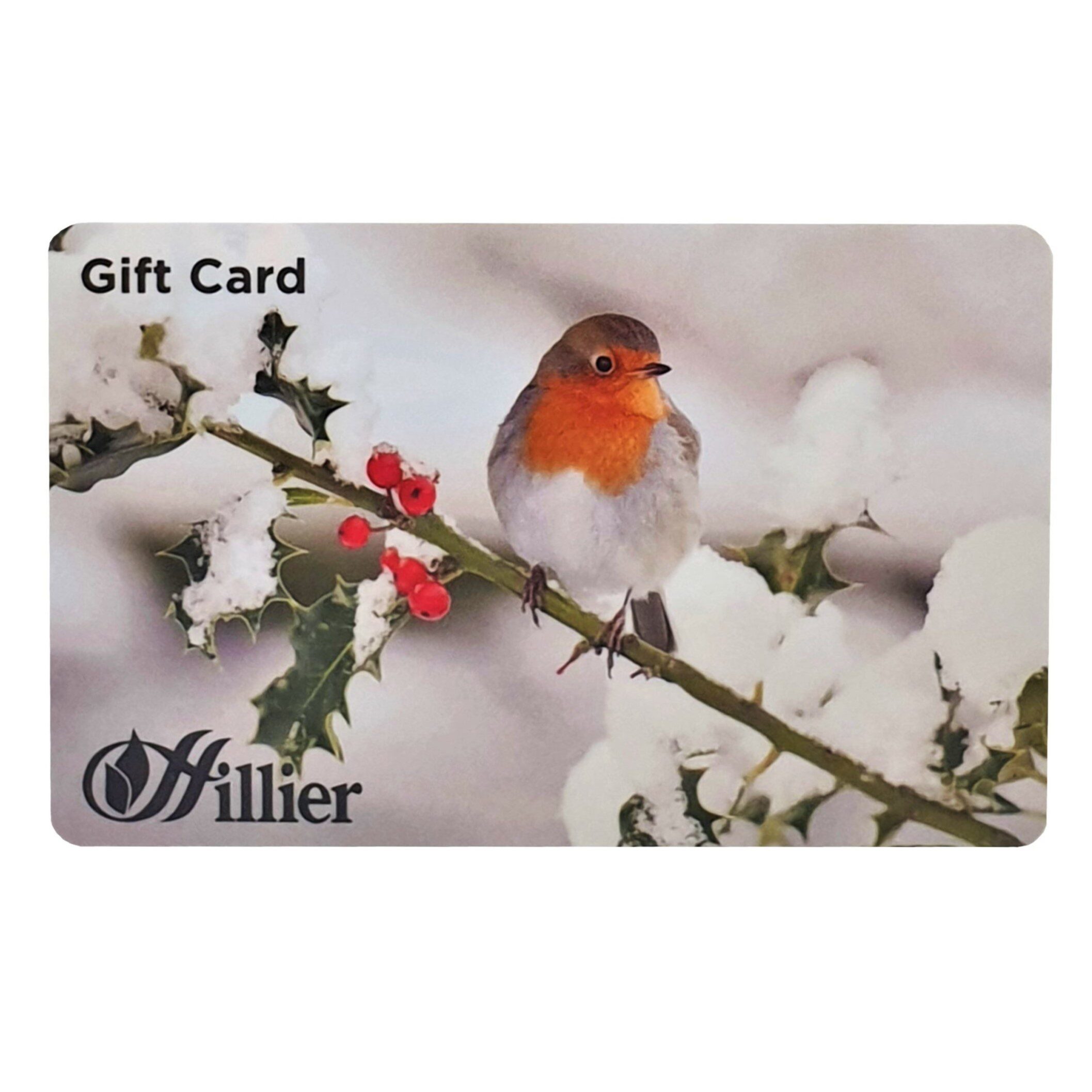 00251128 Gift Card Robin
