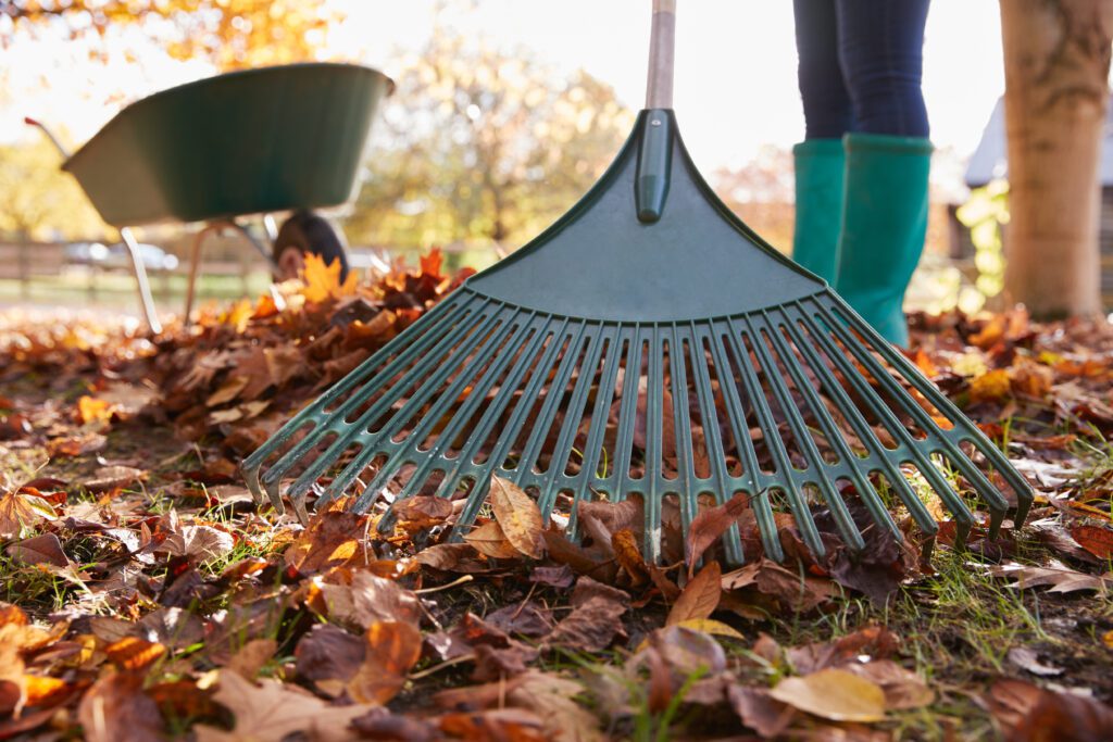 raking should be on the august gardening checklist