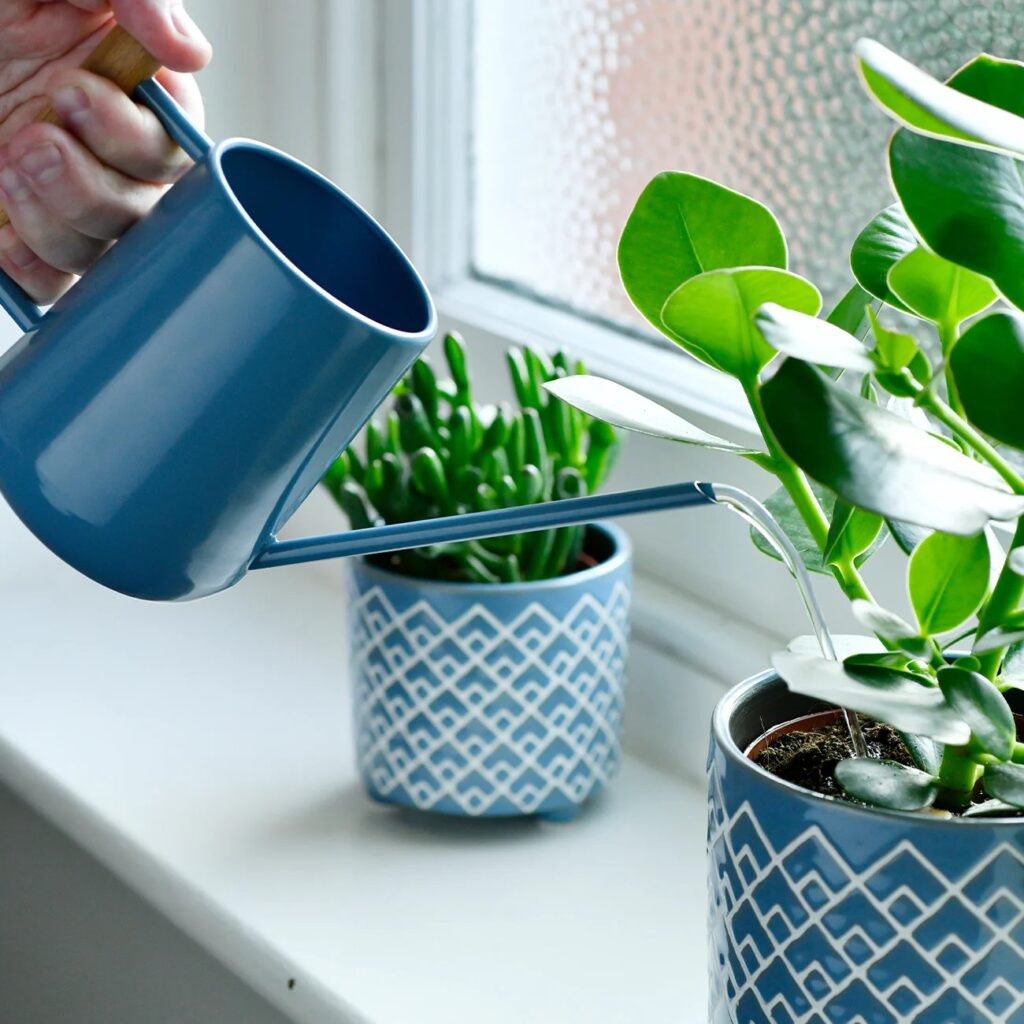 Burgon & Ball 700ml Indoor Watering Can 5019360014591