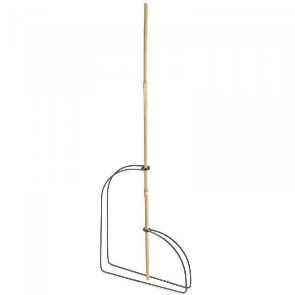 Growbag Cane Supports Triple Pack