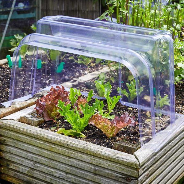 Gro-Tunnel Clear Garden Cloche Ends 5050642051095