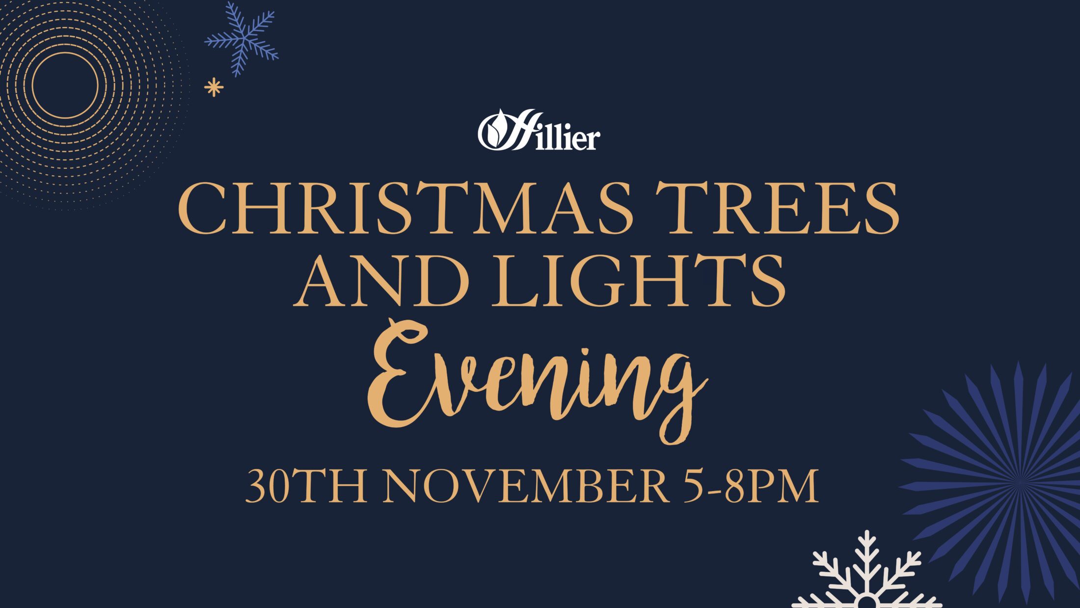 Hillier Trees and Lights Evening Hillier