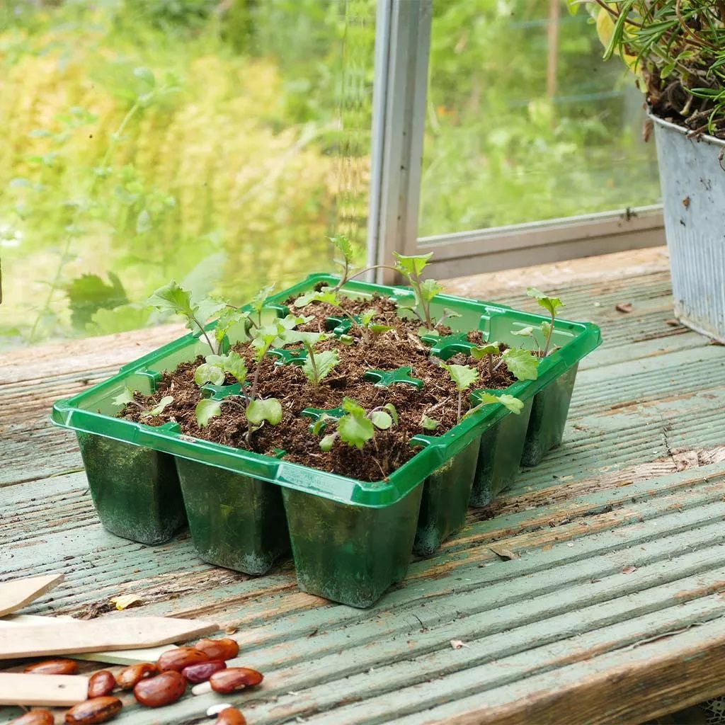 Gro-Sure Visiroot 20 Cell Seed Tray Pack of 8