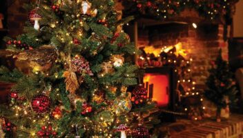 Christmas Tree and lights