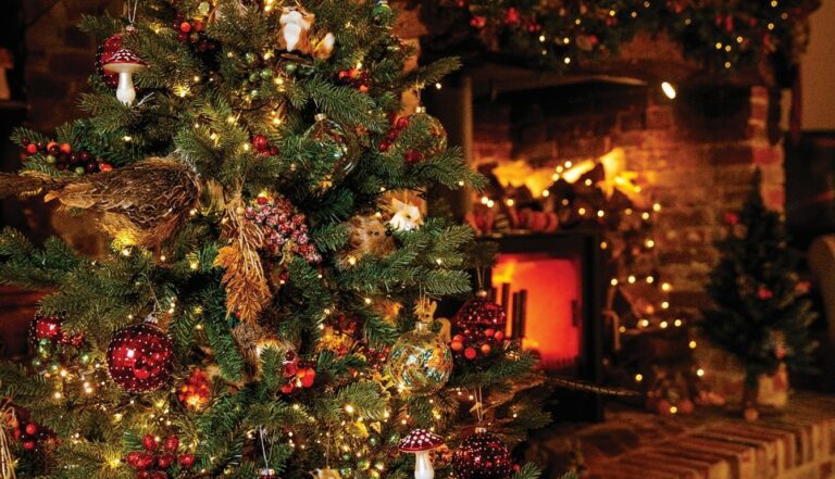 Christmas Tree and lights