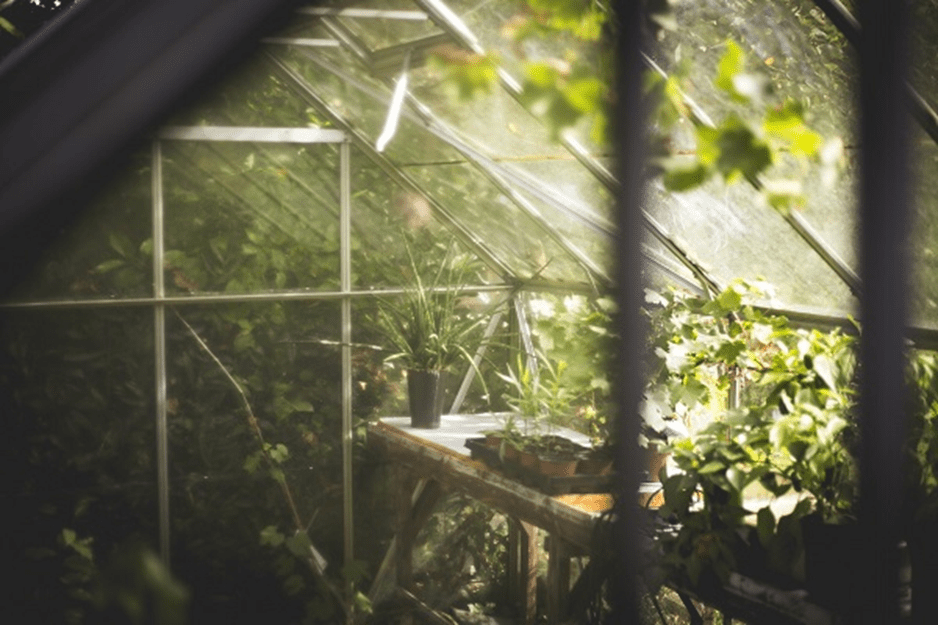 Greenhouse in a winter garden