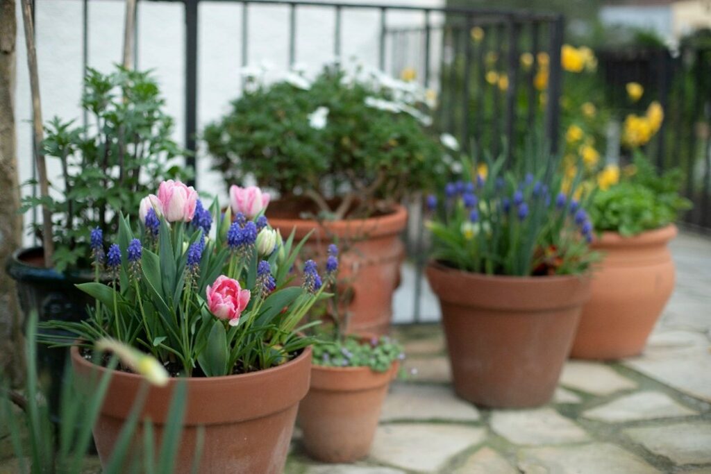 Gardening in containers