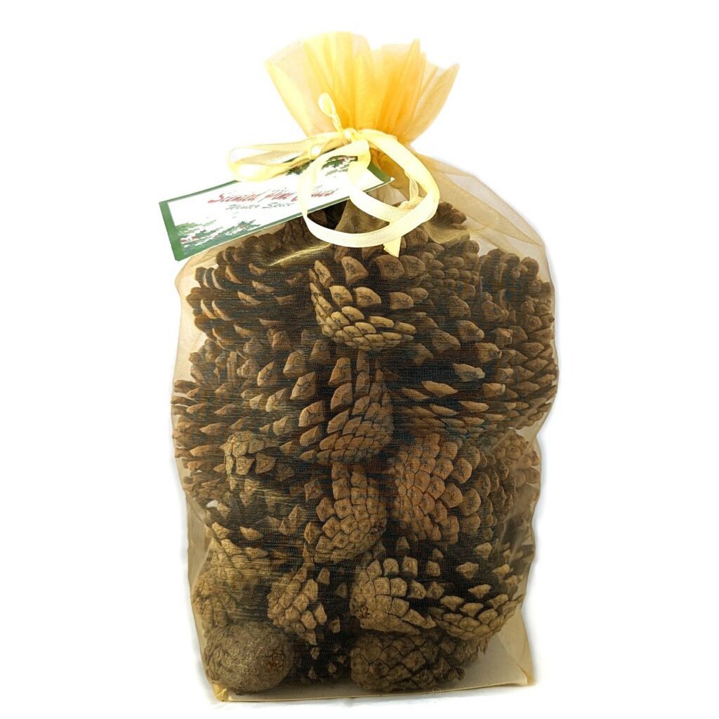 Winter Scented Pinecones 500g 5035221004624