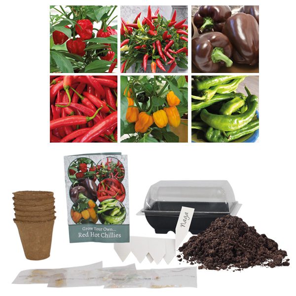 Bees Seeds Red Hot Chilli Seed Growing Kit