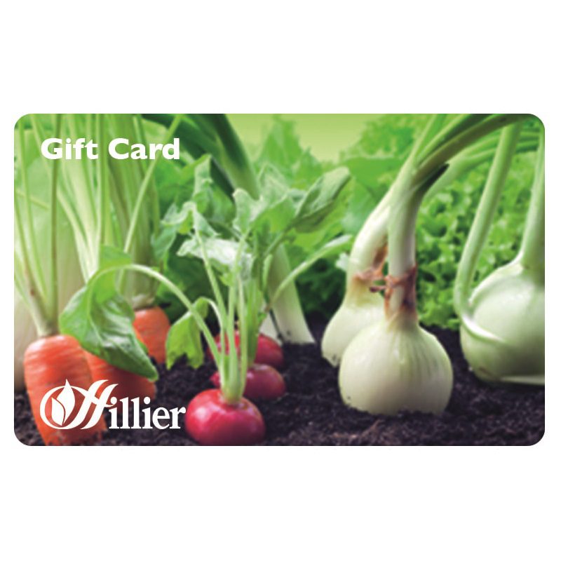 Hillier Gift Card – Garden Veg 00267192