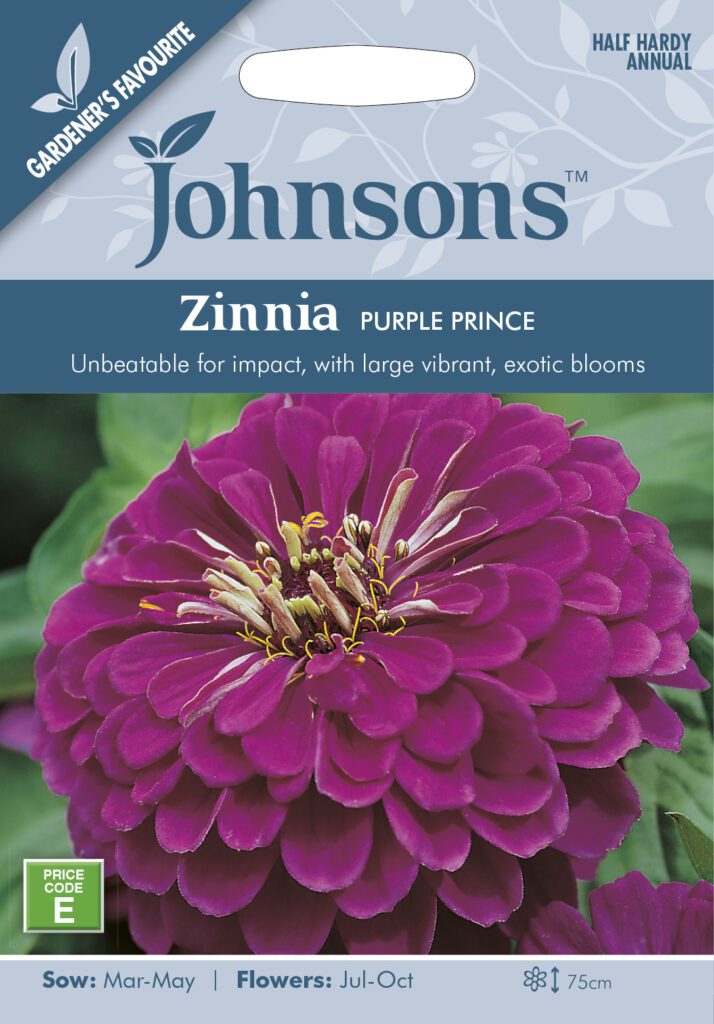 Johnsons Zinnia Purple Prince Seeds 5010931007097