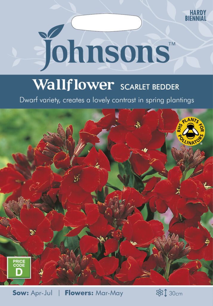 Johnsons Wallflower Scarlet Bedder Seeds 5010931008513