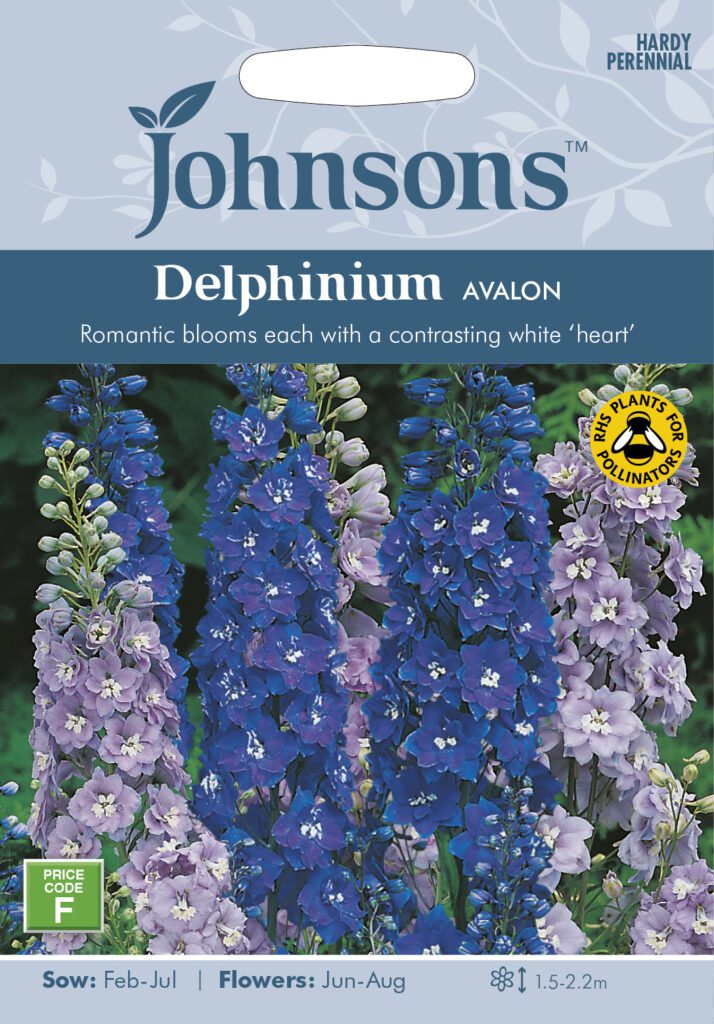 Johnsons Delphinium Avalon Seeds 5010931009237