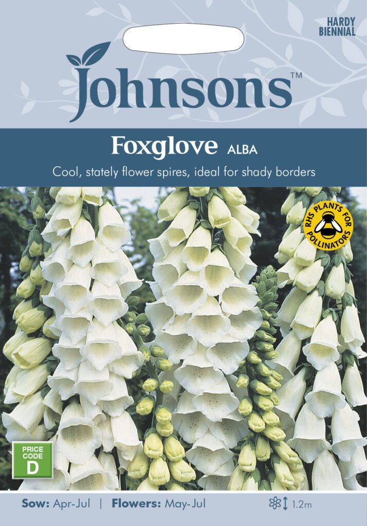 Johnsons Foxglove Alba Seeds 5010931100132
