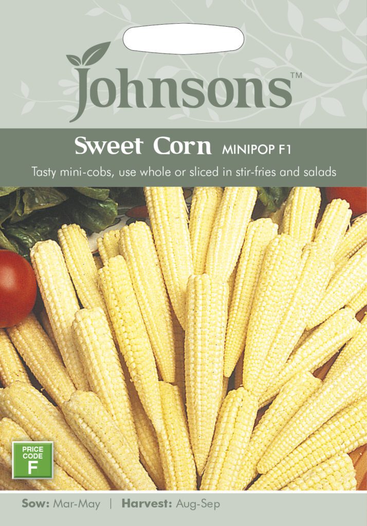 Johnsons Sweet Corn Minipop F1 Seeds 5010931100620