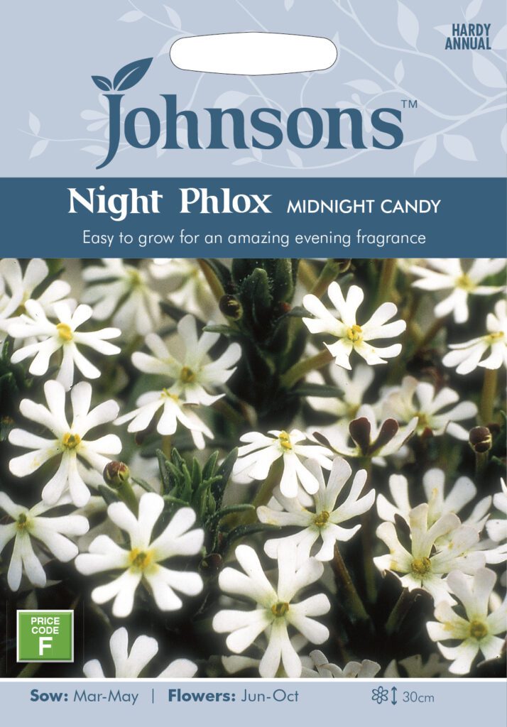 Johnsons Phlox Midnight Candy Seeds 5010931100705