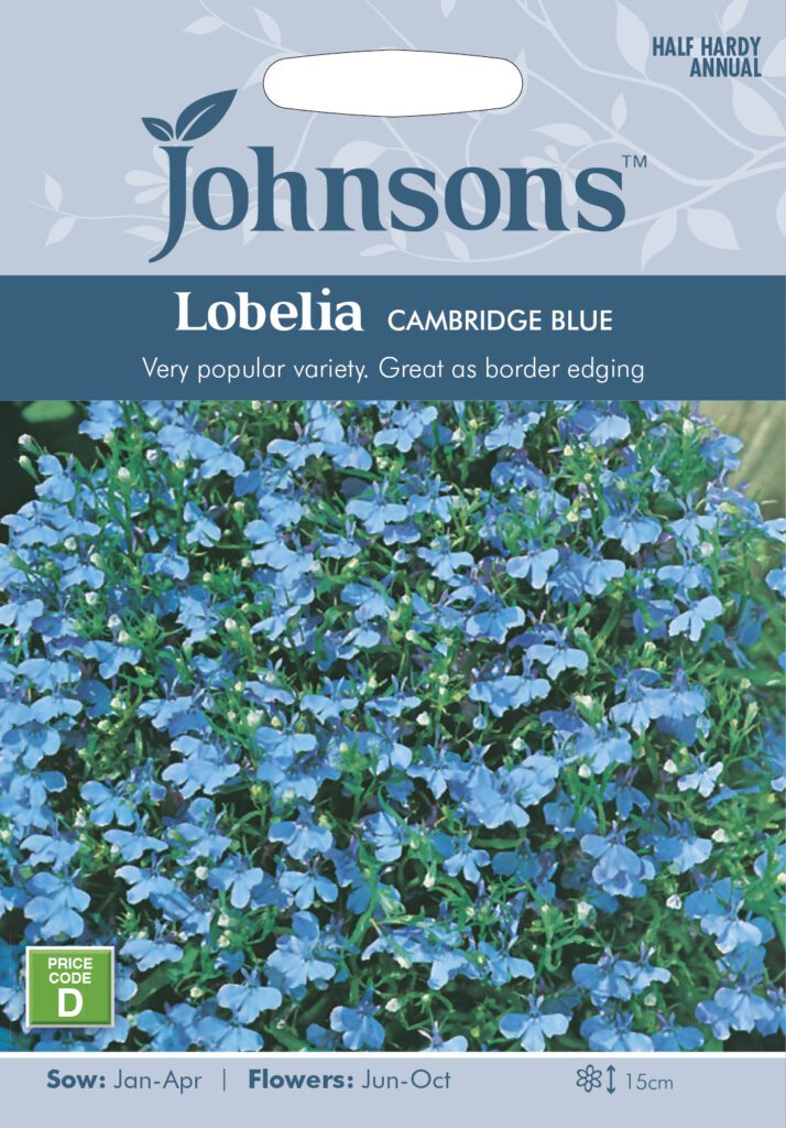 Johnsons Lobelia Cambridge Blue Seeds 5010931112456