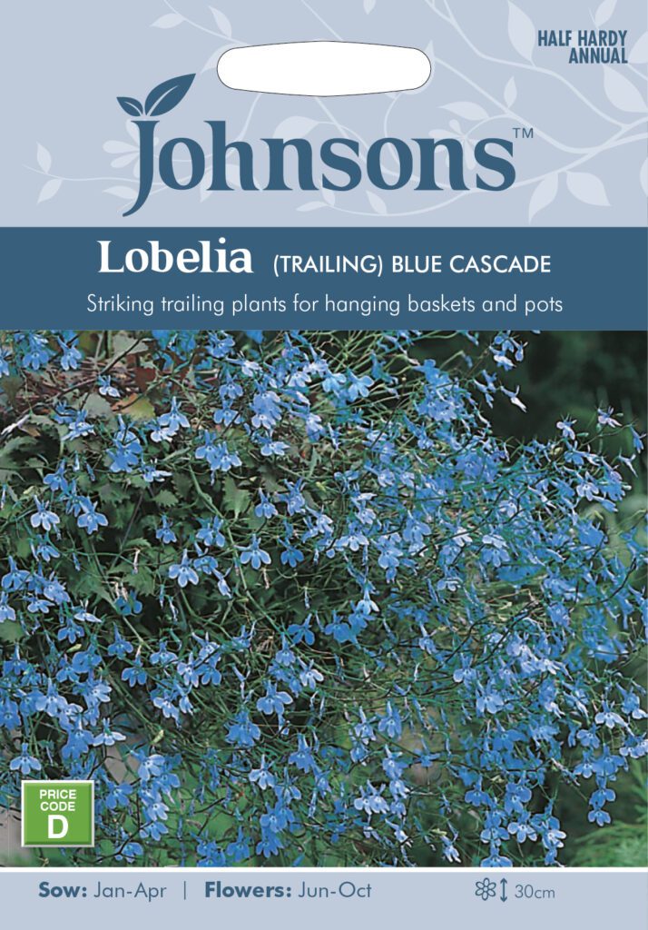 Johnsons Lobelia Blue Cascade Seeds 5010931112715