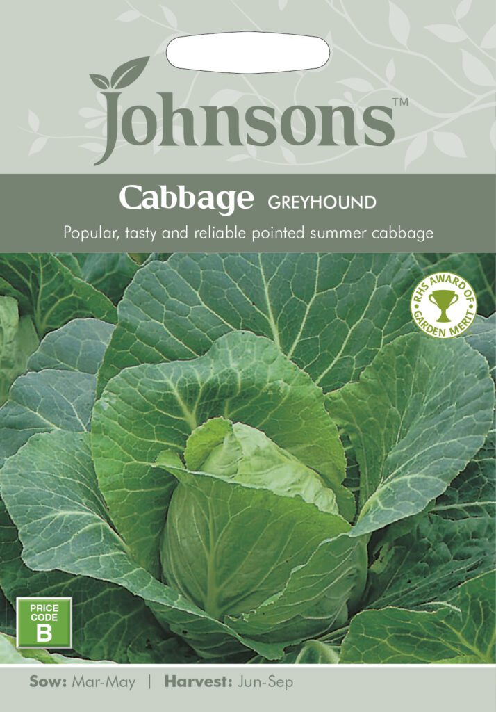 Johnsons Cabbage Greyhound Seeds 5010931140527