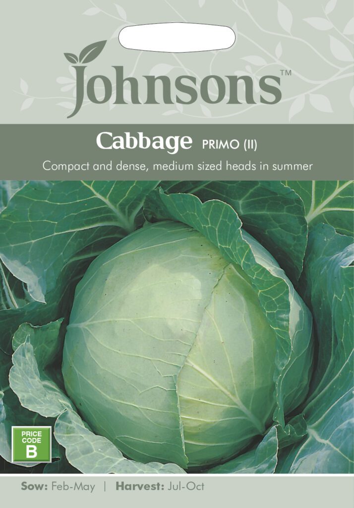 Johnsons Cabbage Primo Seeds 5010931140596