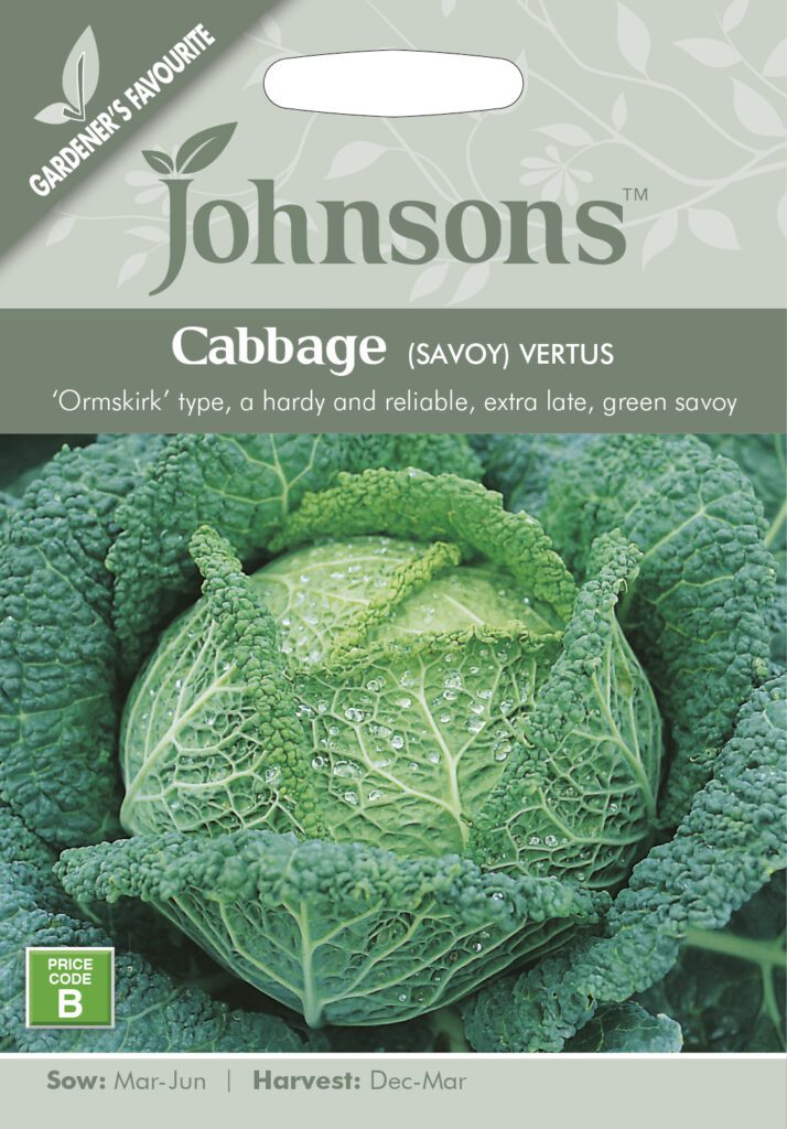 Johnsons Cabbage Vertus Seeds 5010931142941