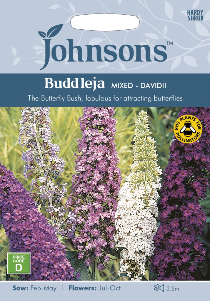 Johnsons Buddleja Davidii Mixed Seeds 5010931170258