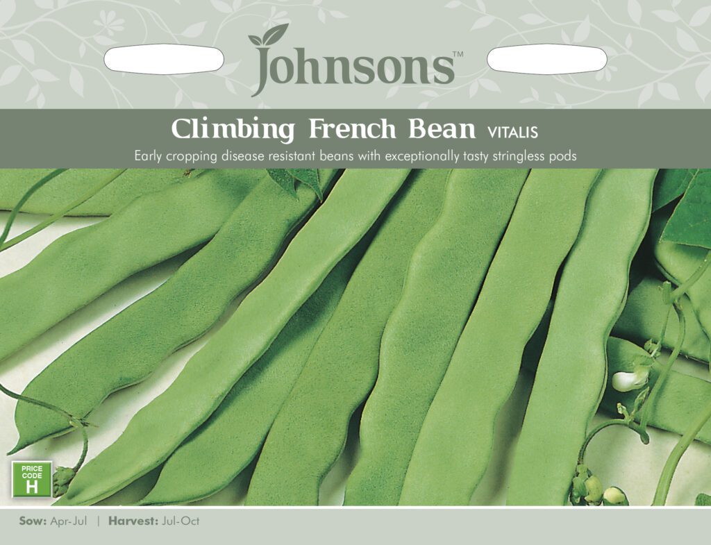 Johnsons Climbing French Bean Vitalis Seeds 5010931170340