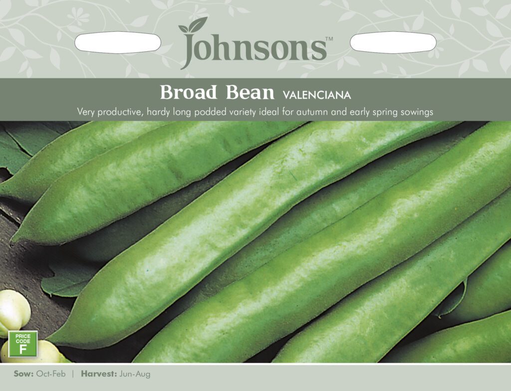 Johnsons Broad Bean Valenciana Seeds 5010931192441
