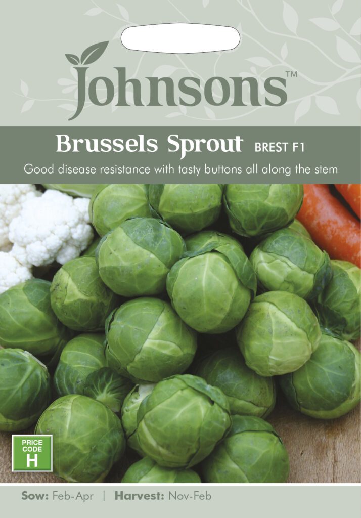 Johnsons Brussels Sprout Brest F1 Seeds 5010931192786