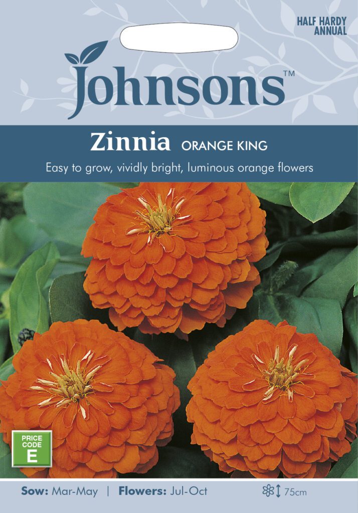 Johnsons Zinnia Orange King Seeds 5010931202287